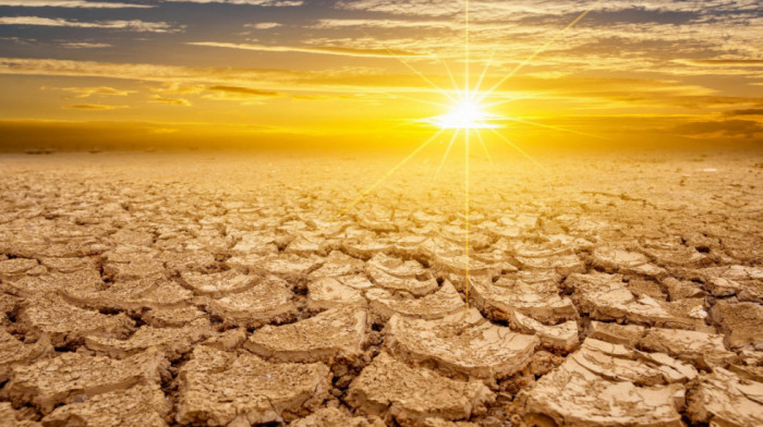 Studija: Više od 3.500 životinjskih vrsta ugroženo klimatskim promenama