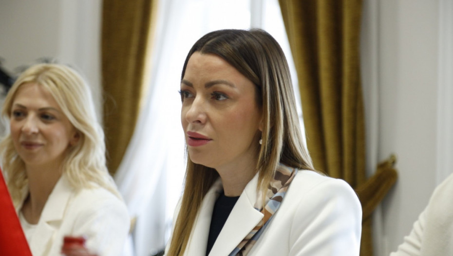 Mesarović: Sajam uvoza u Šangaju otvara nova vrata za privredne aktivnosti Srbije