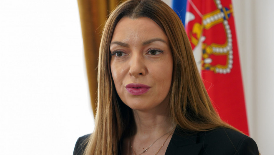Mesarović: Vučić na najbolji način predstavio Srbiju u Moskvi, opozicija iznosi laži